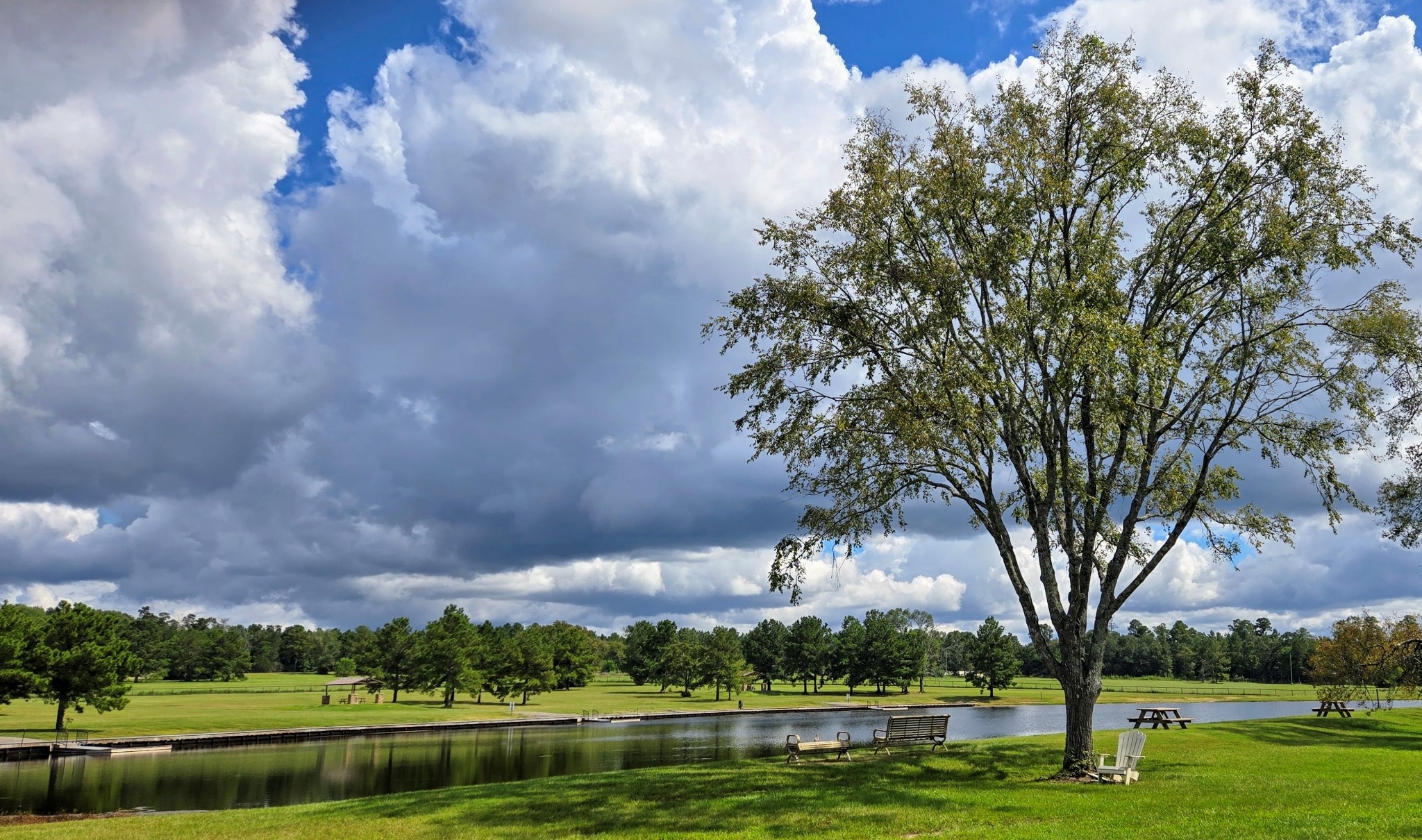 15738 Wooded Trail Way, Willis, TX, 77378 | 40004204 | Realty Texas LLC