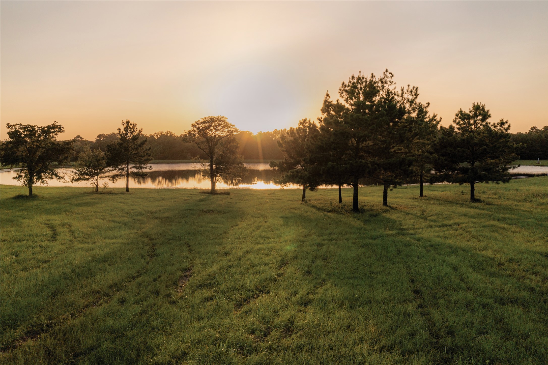 15738 Wooded Trail Way, Willis, TX, 77378 | 40004204 | Realty Texas LLC