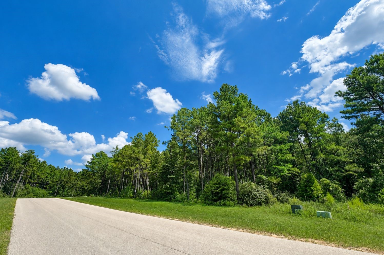15738 Wooded Trail Way, Willis, TX, 77378 | 40004204 | Realty Texas LLC
