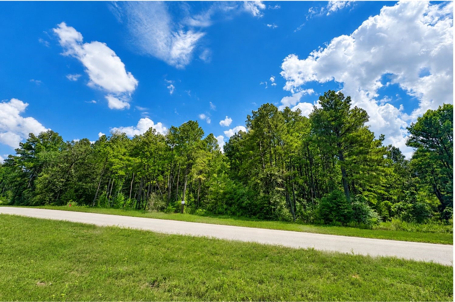 15738 Wooded Trail Way, Willis, TX, 77378 | 40004204 | Realty Texas LLC