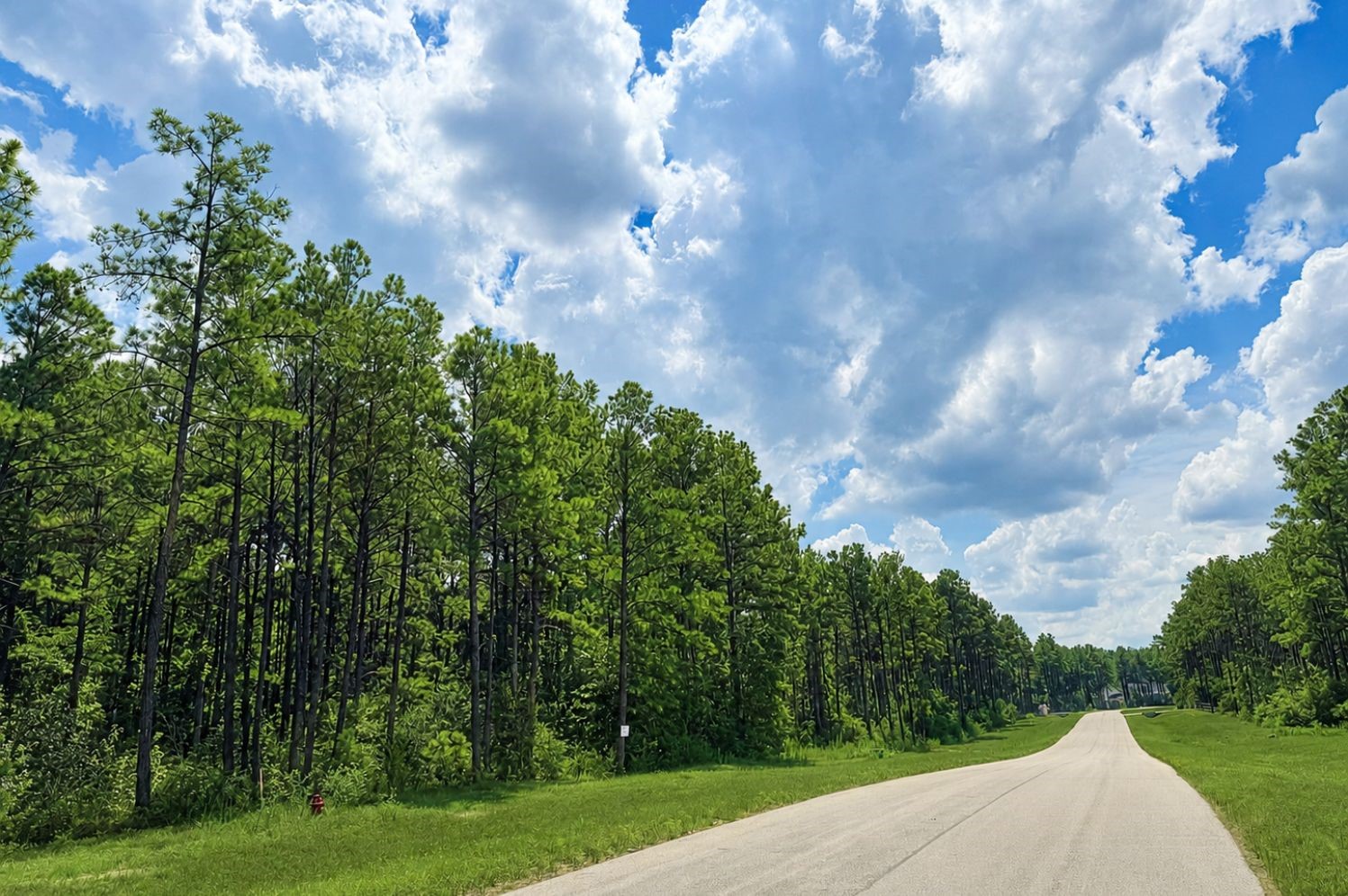15738 Wooded Trail Way, Willis, TX, 77378 | 40004204 | Realty Texas LLC