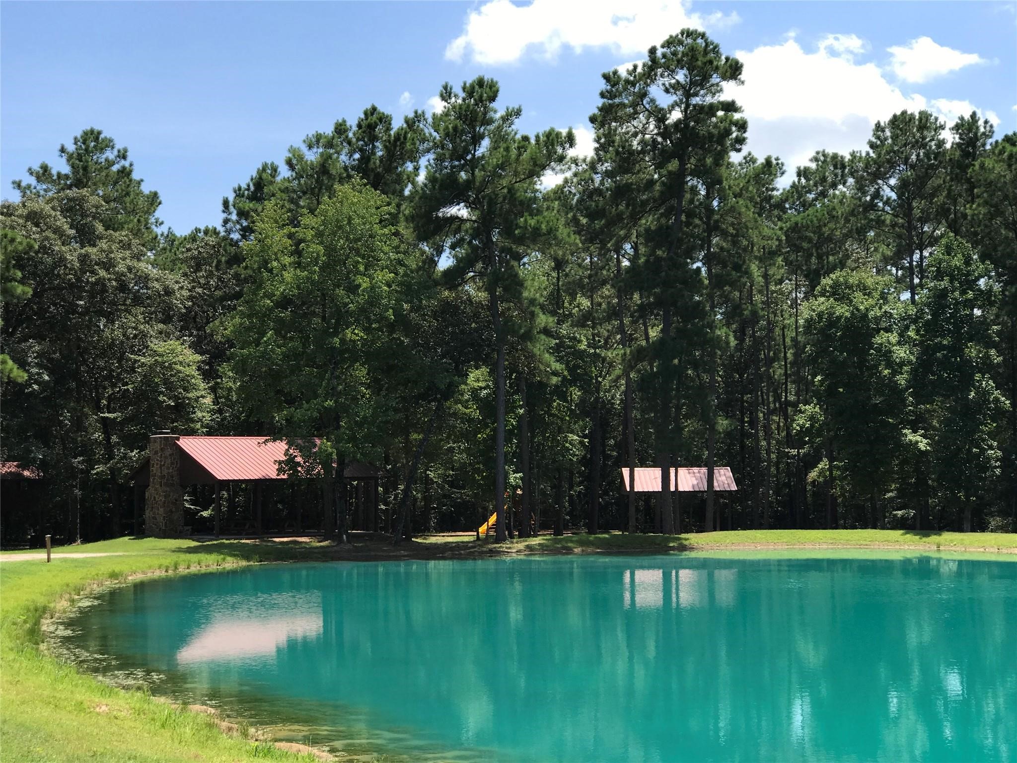 14-37-23 Sandpiper Drive, New Waverly, TX, 77358 | 84793078 | Realty Texas LLC