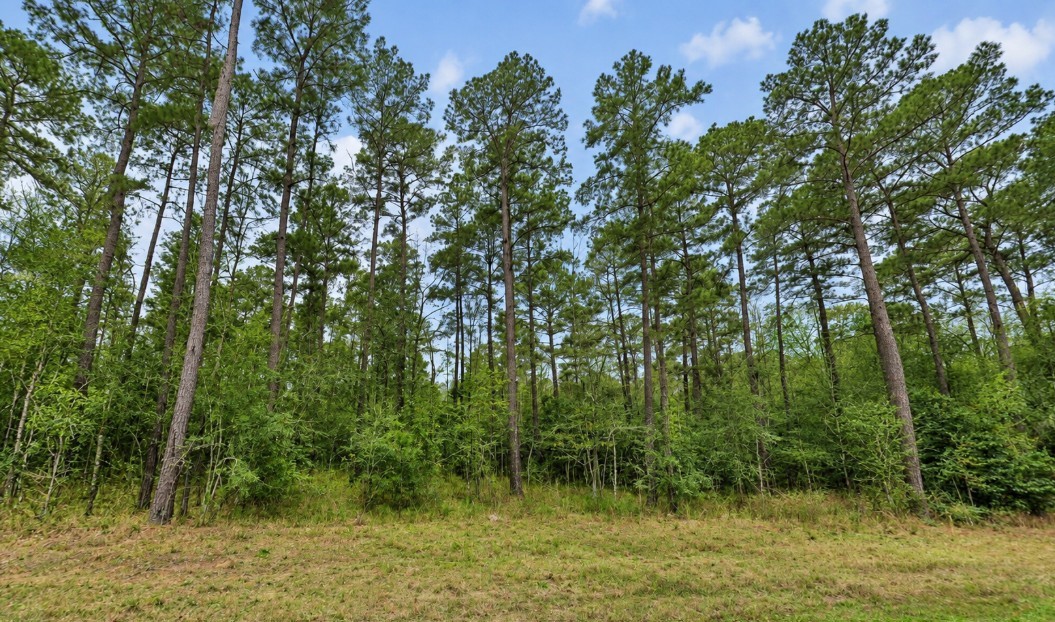 14-37-23 Sandpiper Drive, New Waverly, TX, 77358 | 84793078 | Realty Texas LLC