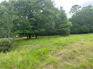 516 Falcon Drive, Trinity, TX, 75862 | 48554619 | Realty Texas LLC