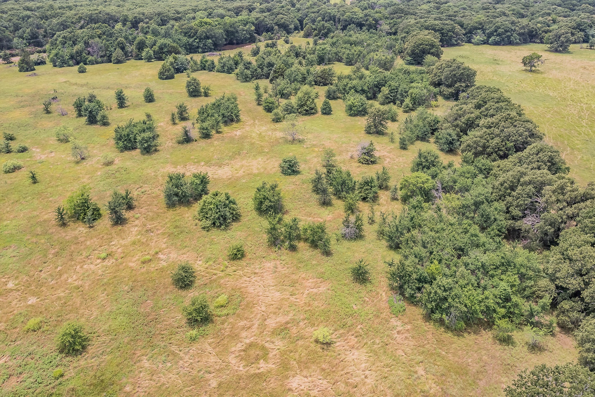 11230 & 11229 Rand Road, Kaufman, TX, 75142 | 20968519 | Realty Texas LLC