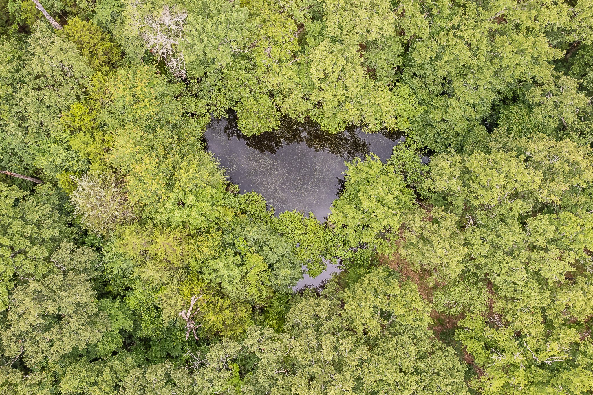 11230 & 11229 Rand Road, Kaufman, TX, 75142 | 20968519 | Realty Texas LLC