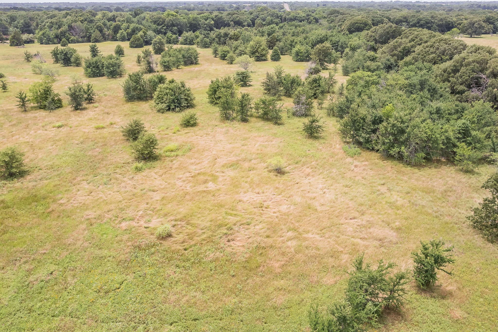 11230 & 11229 Rand Road, Kaufman, TX, 75142 | 20968519 | Realty Texas LLC