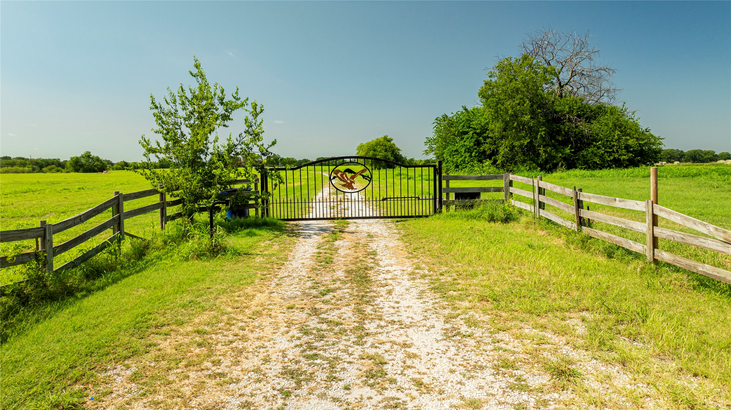 12520 Fm 455 E, Pilot Point, TX, 76258 | 20968866 | Realty Texas LLC