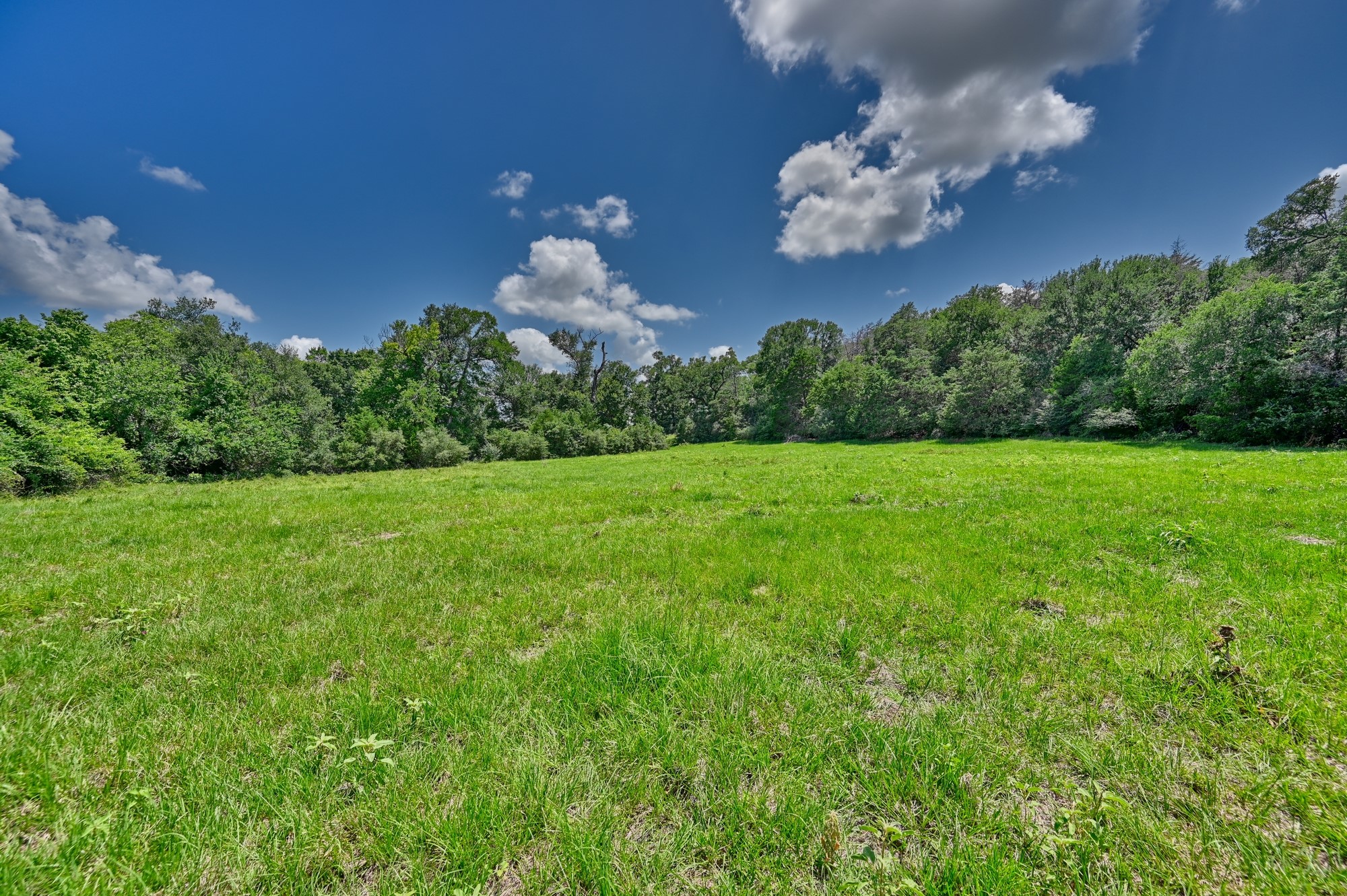 1368 County Road 207, Giddings, TX, 78942 | 3549794 | Realty Texas LLC