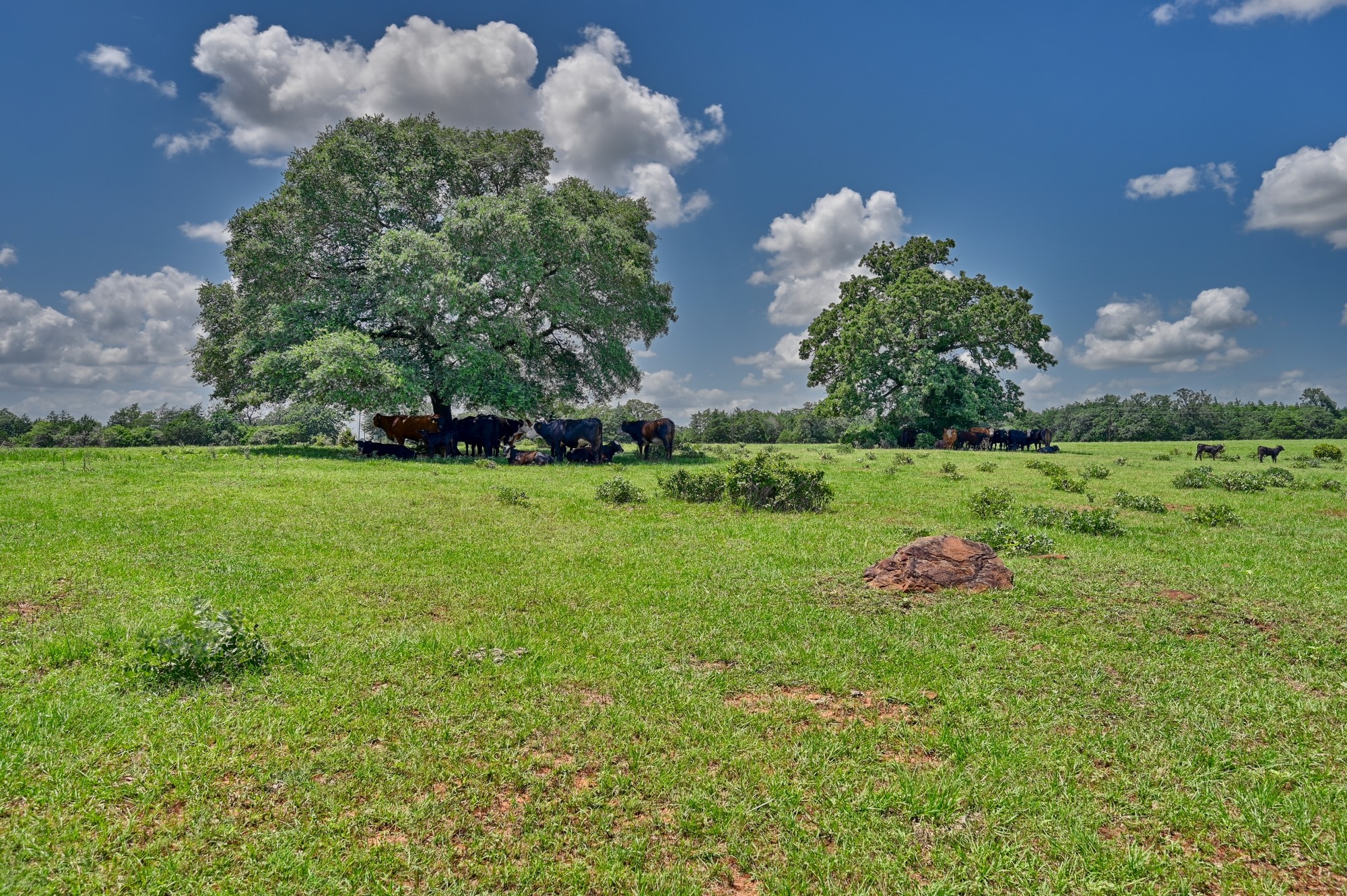 1368 County Road 207, Giddings, TX, 78942 | 3549794 | Realty Texas LLC