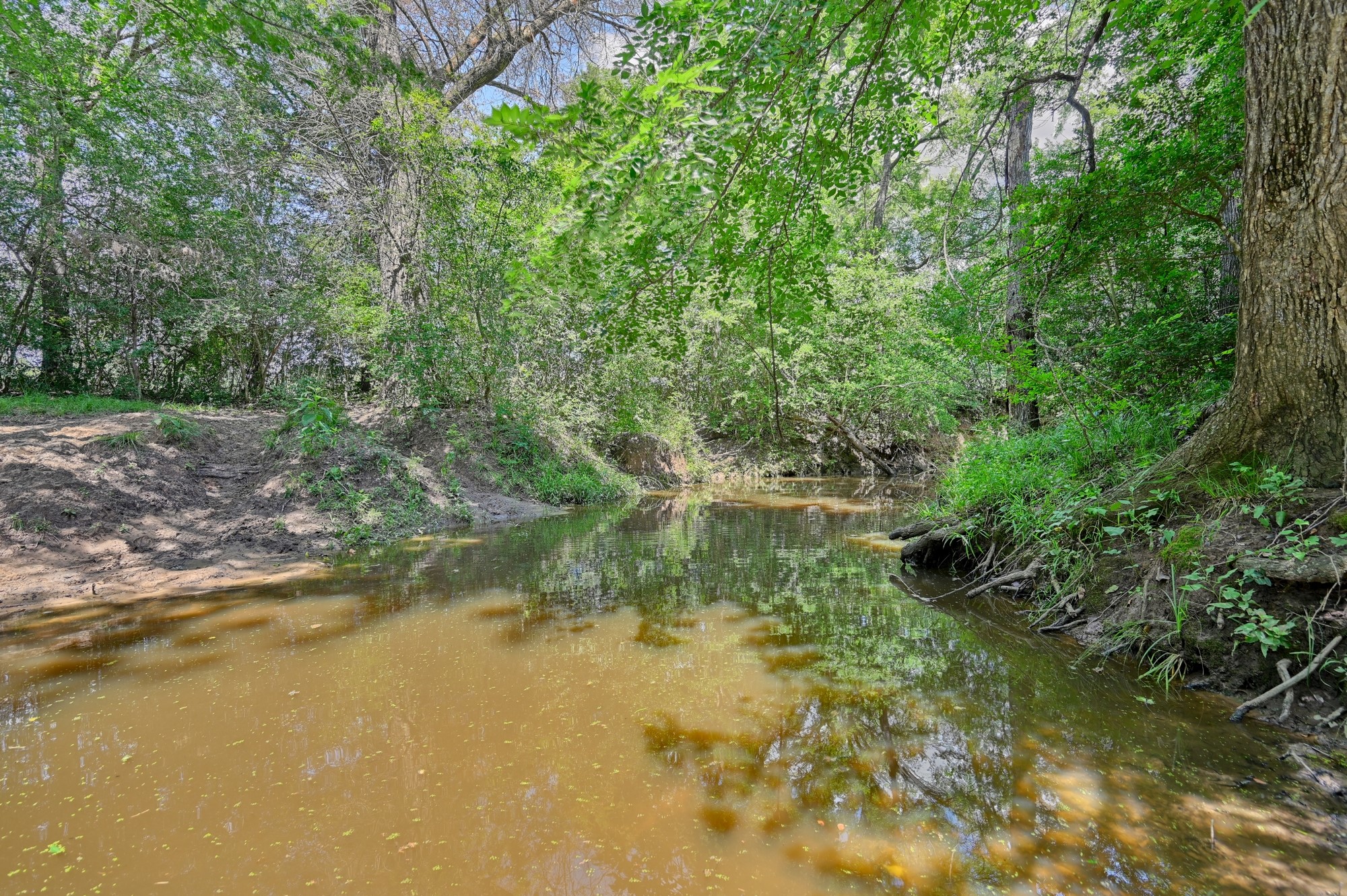 1368 County Road 207, Giddings, TX, 78942 | 3549794 | Realty Texas LLC