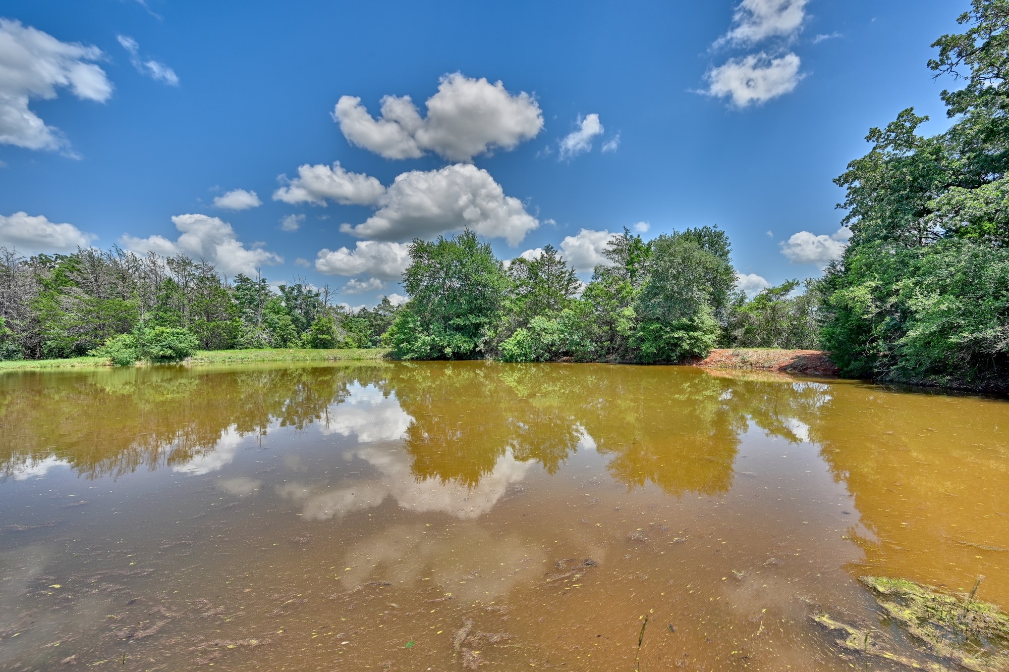 1368 County Road 207, Giddings, TX, 78942 | 3549794 | Realty Texas LLC