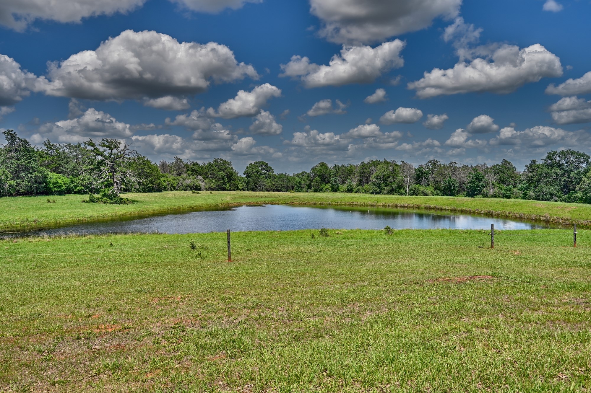1368 County Road 207, Giddings, TX, 78942 | 3549794 | Realty Texas LLC
