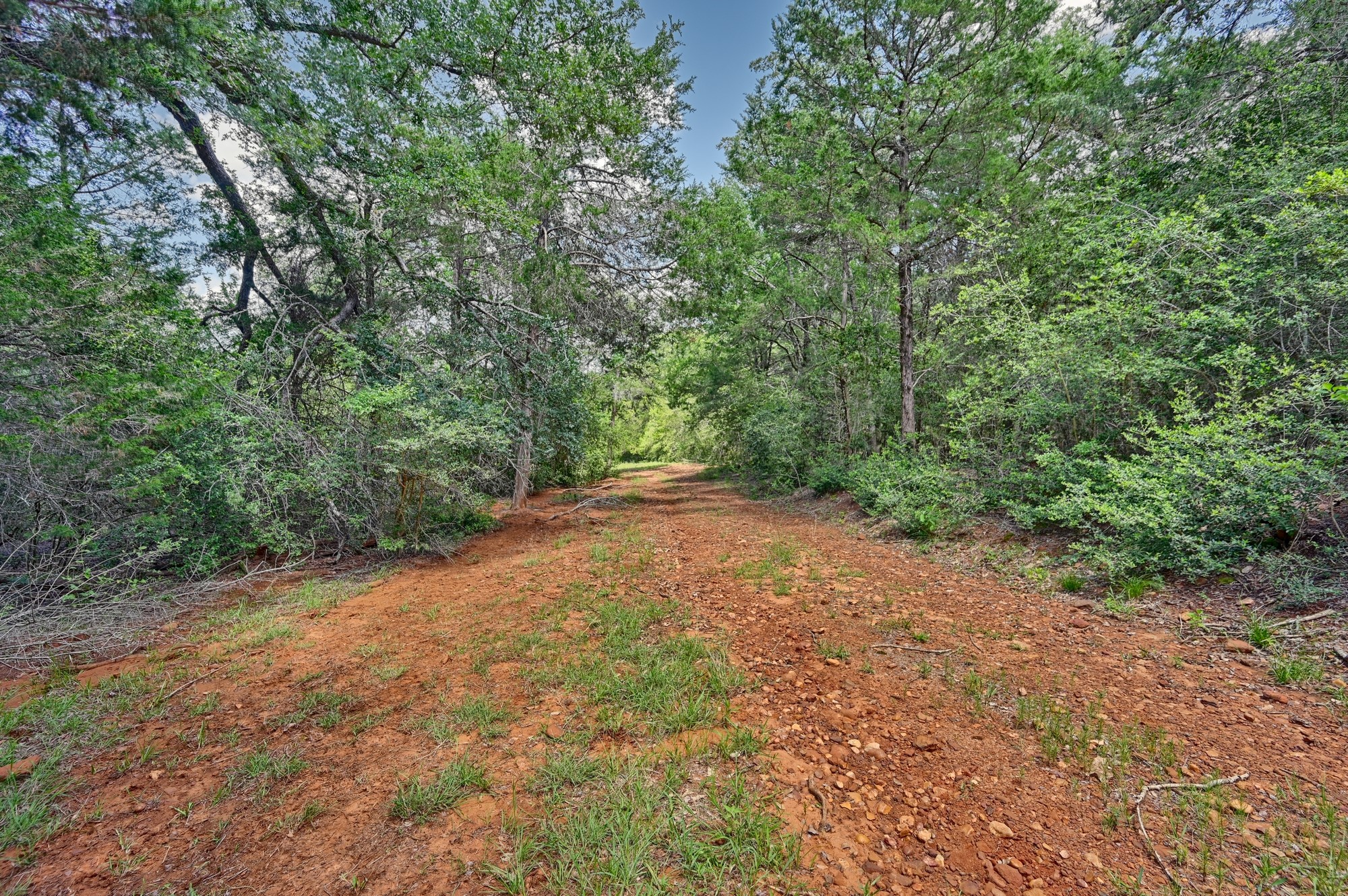 1368 County Road 207, Giddings, TX, 78942 | 3549794 | Realty Texas LLC