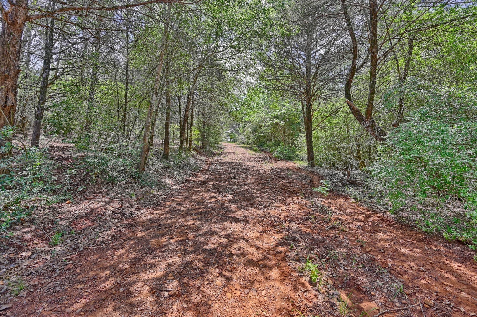 1368 County Road 207, Giddings, TX, 78942 | 3549794 | Realty Texas LLC