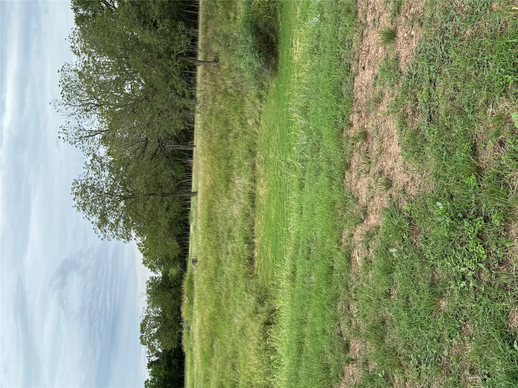 291 Reid's BND, Bastrop, TX, 78602 | 1697395 | Realty Texas LLC