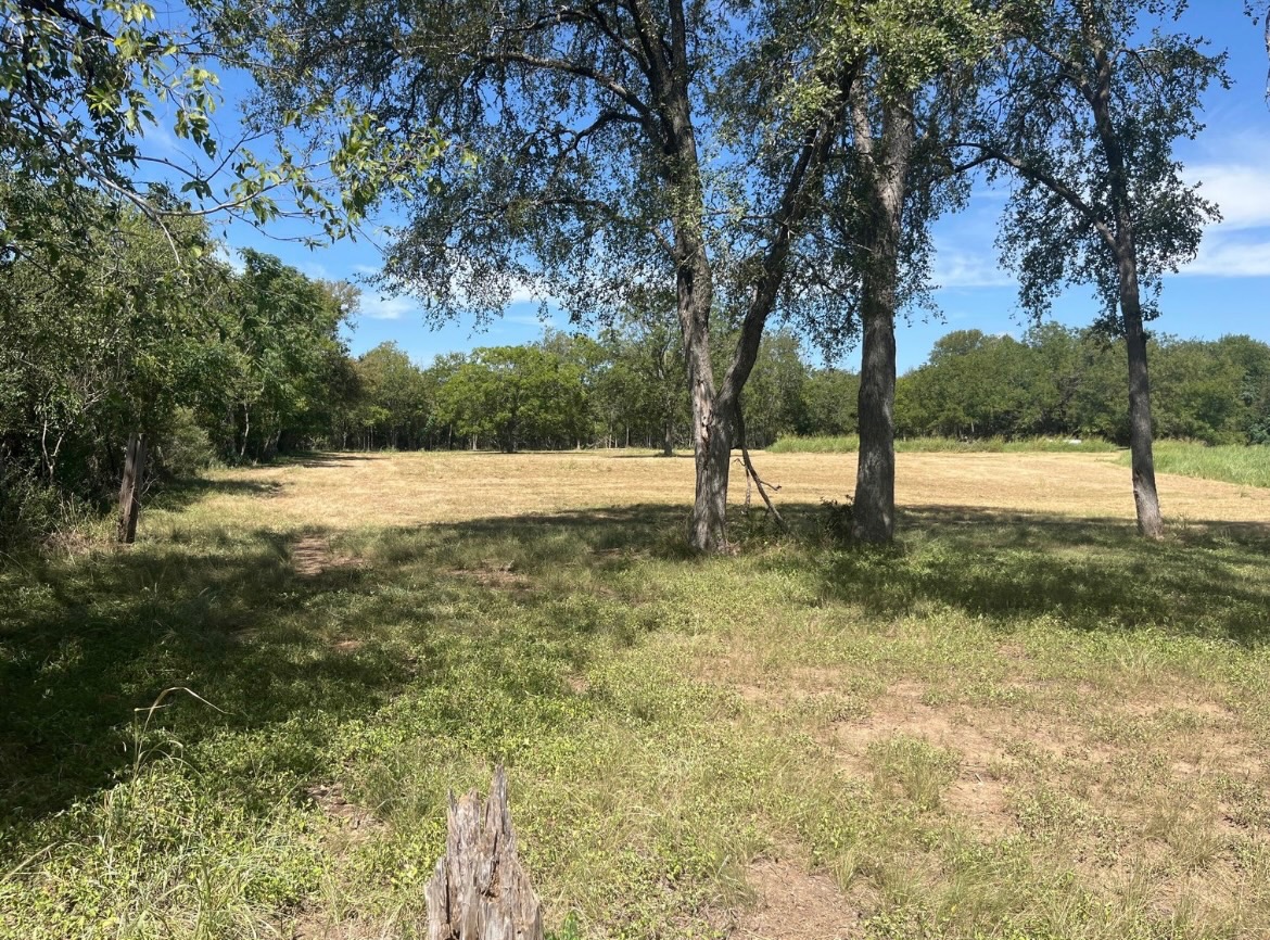 291 Reid's BND, Bastrop, TX, 78602 | 1697395 | Realty Texas LLC