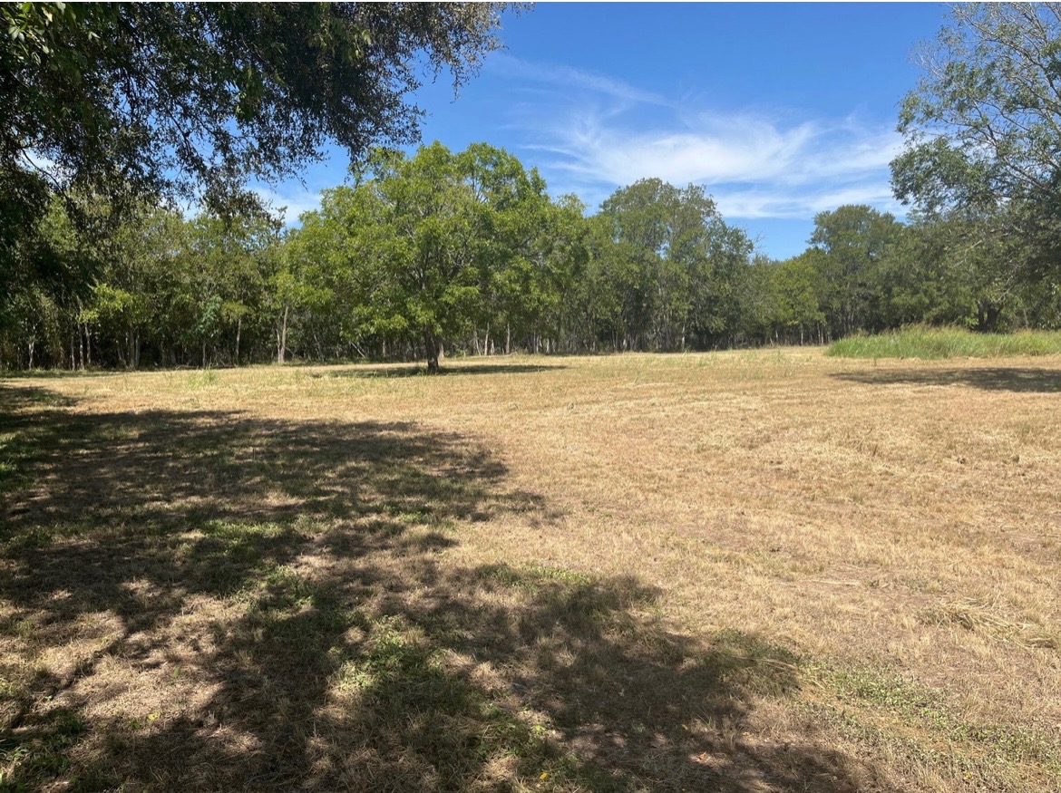 291 Reid's BND, Bastrop, TX, 78602 | 1697395 | Realty Texas LLC