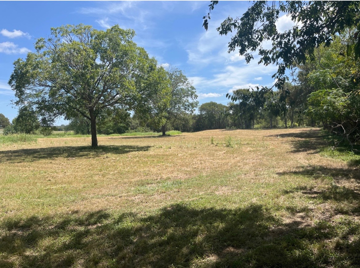 291 Reid's BND, Bastrop, TX, 78602 | 1697395 | Realty Texas LLC