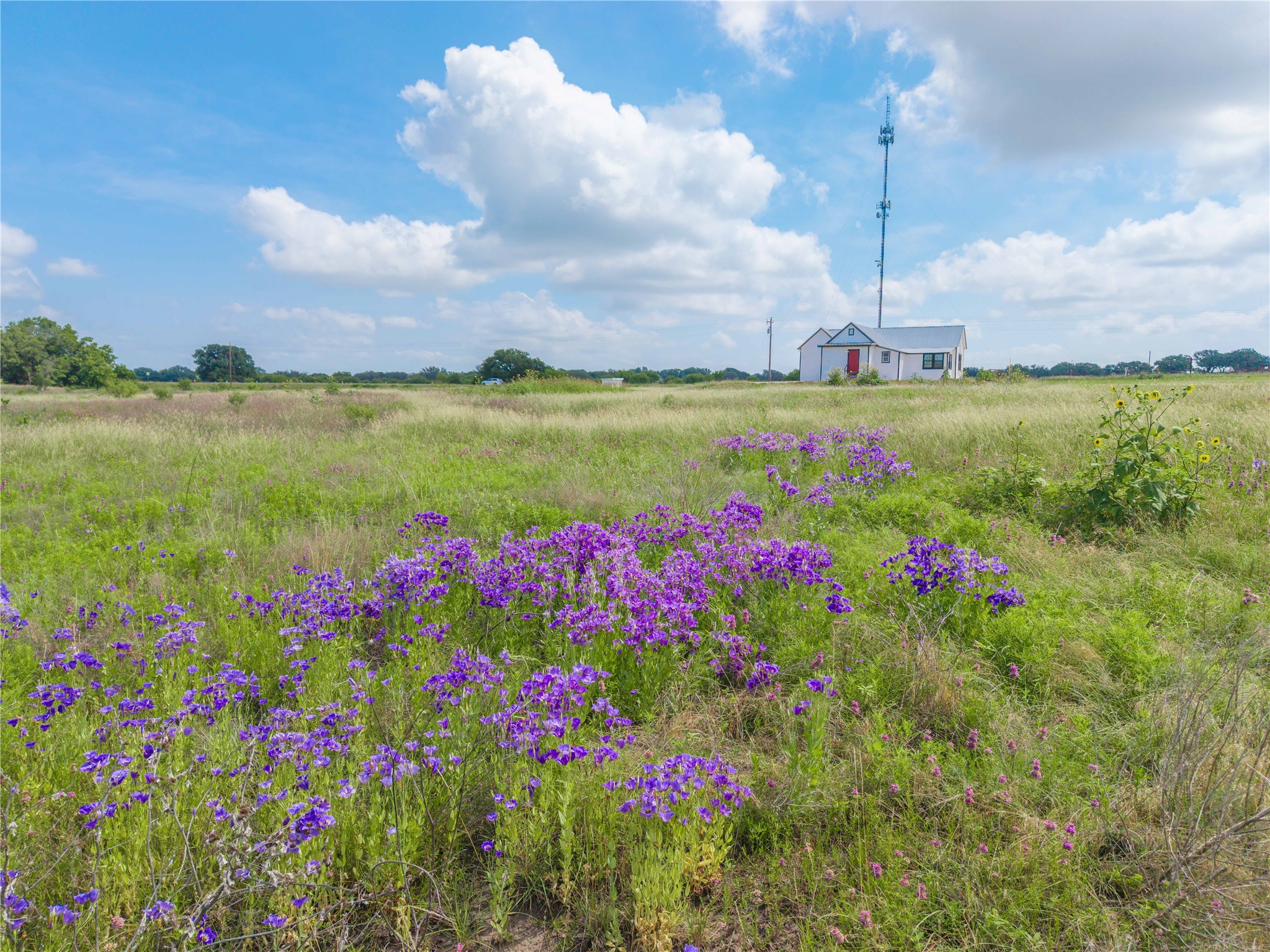 1153 W 84 Highway, Mullin, TX, 76864 | 20971003 | Realty Texas LLC