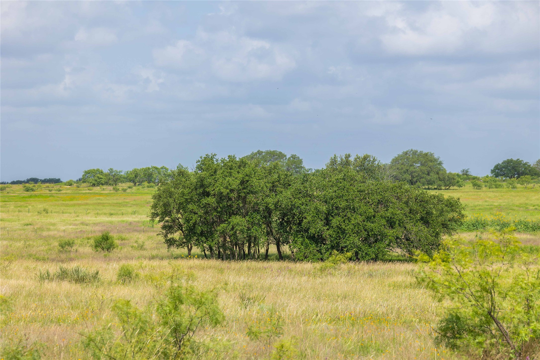 1153 W 84 Highway, Mullin, TX, 76864 | 20971003 | Realty Texas LLC