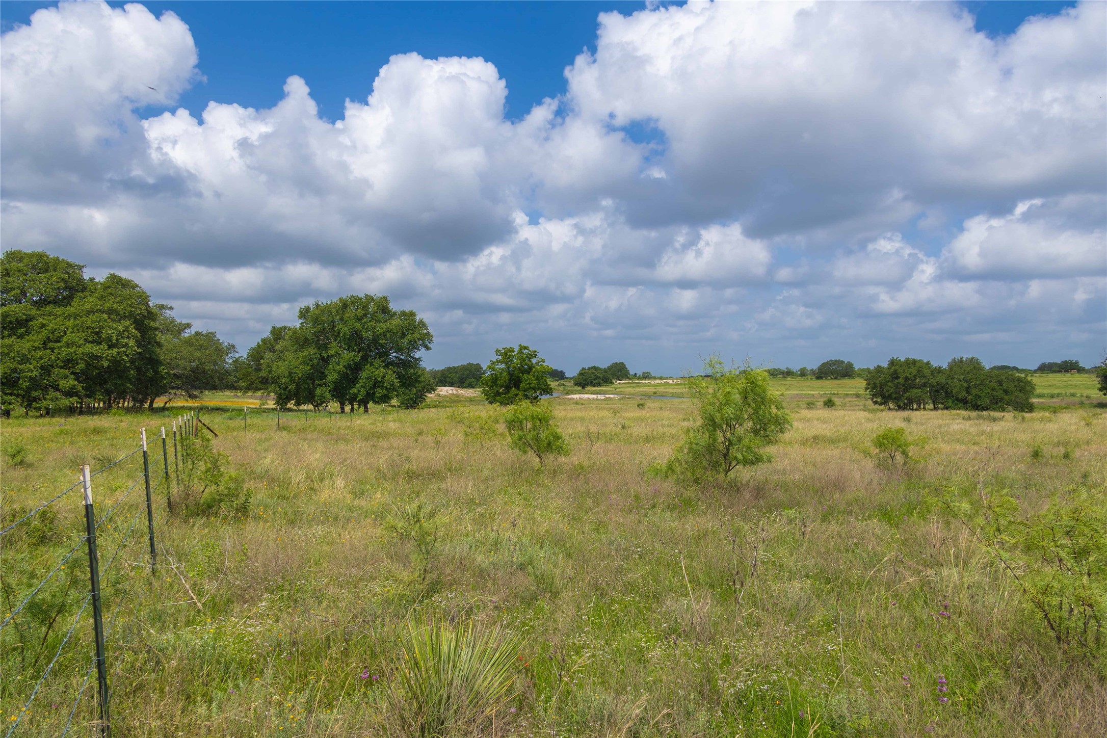 1153 W 84 Highway, Mullin, TX, 76864 | 20971003 | Realty Texas LLC