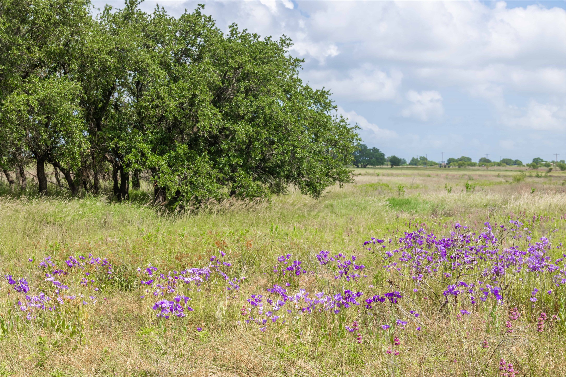 1153 W 84 Highway, Mullin, TX, 76864 | 20971003 | Realty Texas LLC