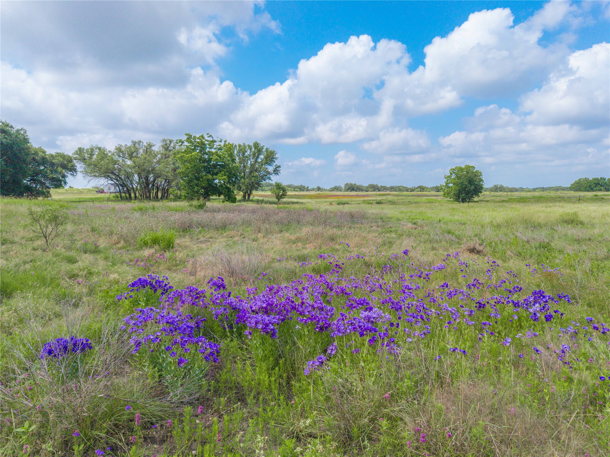 1153 W 84 Highway, Mullin, TX, 76864 | 20971003 | Realty Texas LLC