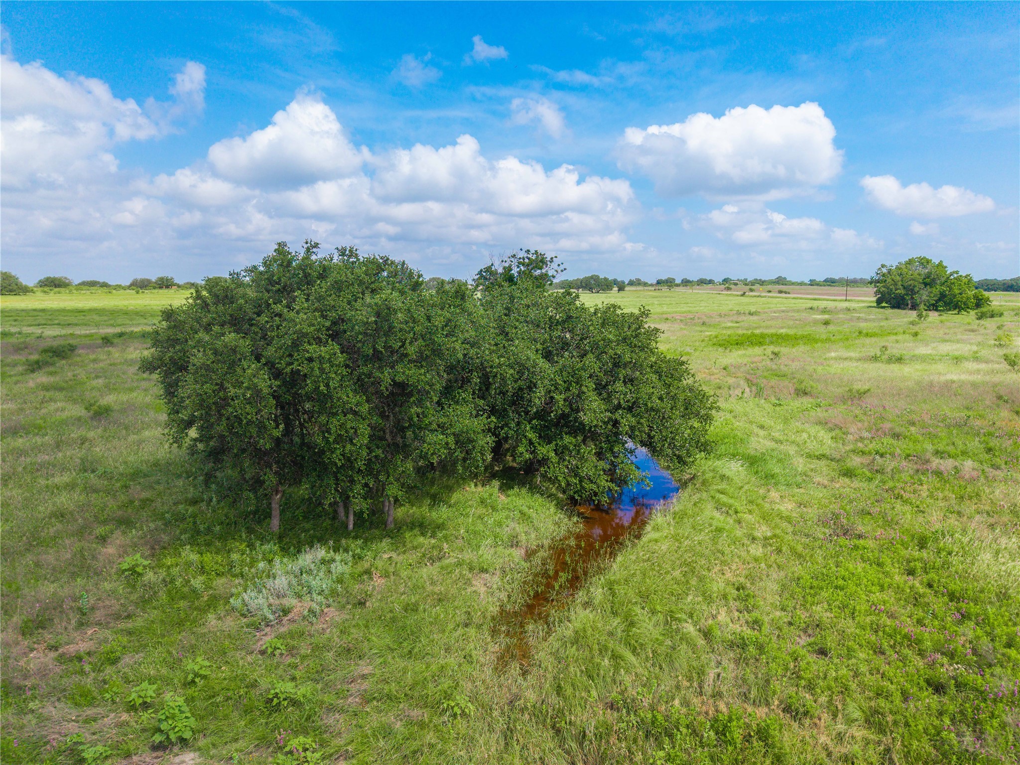 1153 W 84 Highway, Mullin, TX, 76864 | 20971003 | Realty Texas LLC