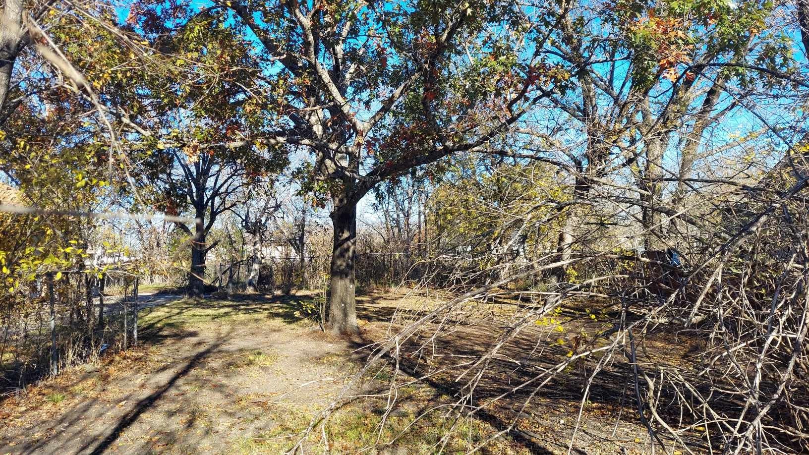 602 E 14th Avenue, Corsicana, TX, 75110 | 20972008 | Realty Texas LLC