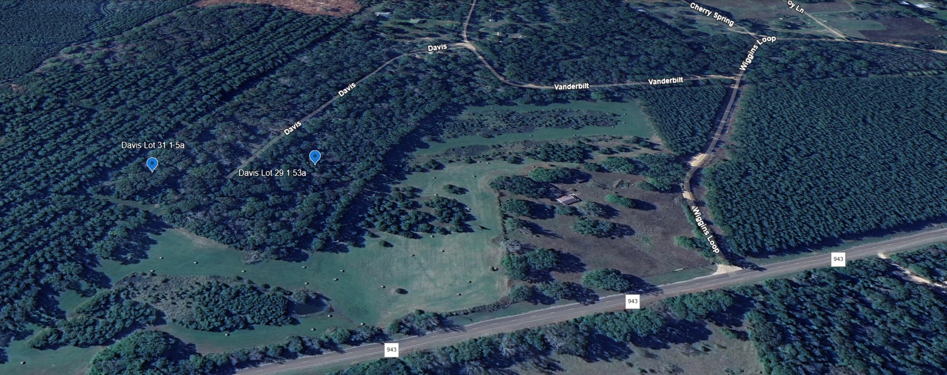 TBD Davis Lot 29, Livingston, TX, 77351 | 77962548 | Realty Texas LLC