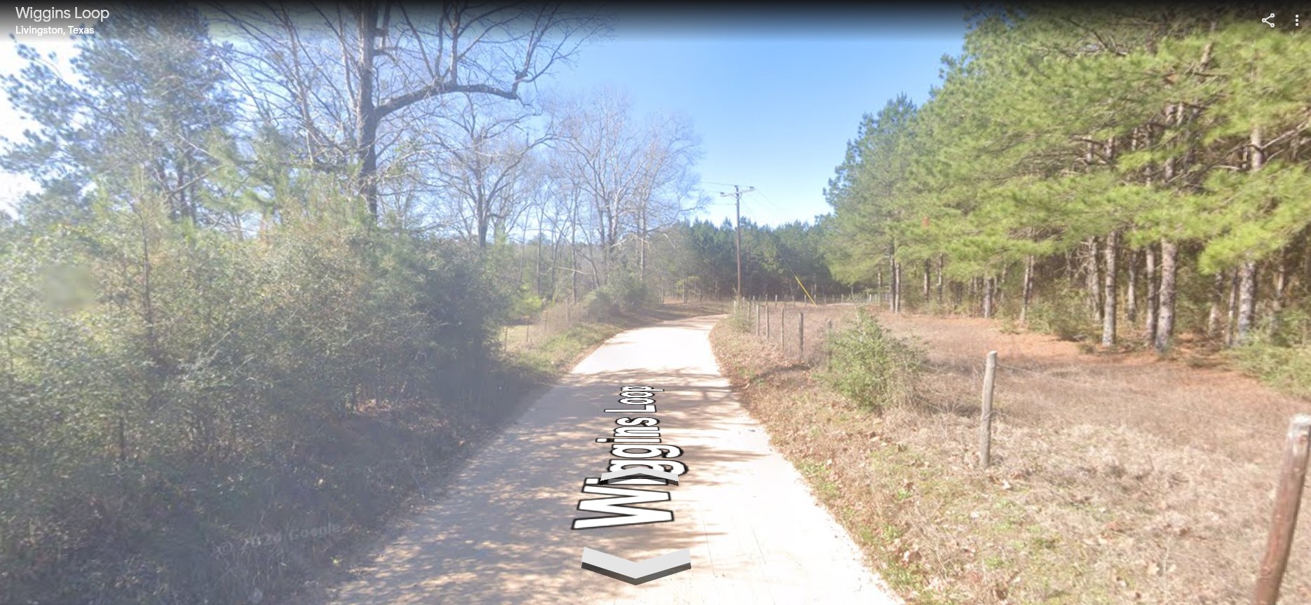 TBD Davis Lot 29, Livingston, TX, 77351 | 77962548 | Realty Texas LLC