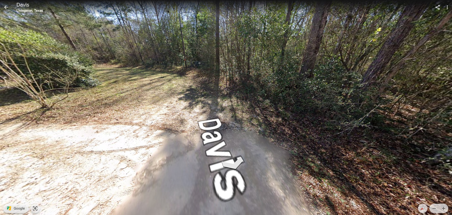 TBD Davis Lot 29, Livingston, TX, 77351 | 77962548 | Realty Texas LLC