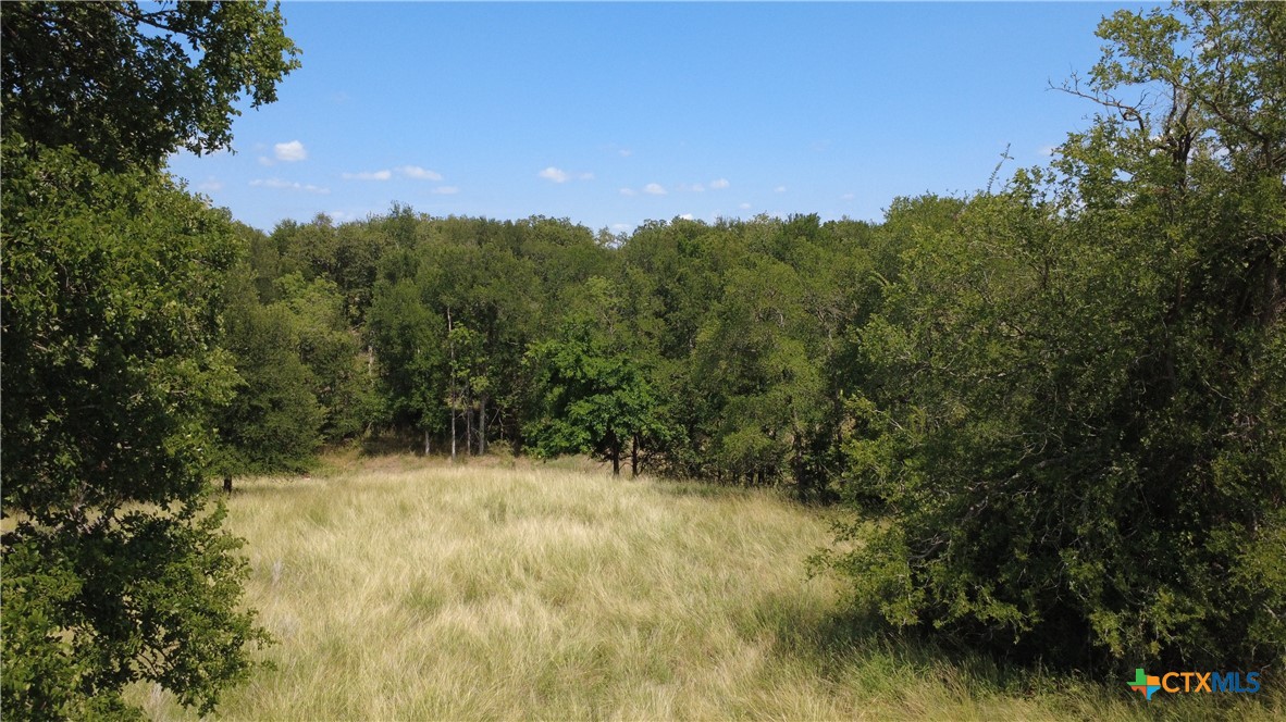 16176 Audrey Lane, Holland, TX, 76534 | 583719 | Realty Texas LLC