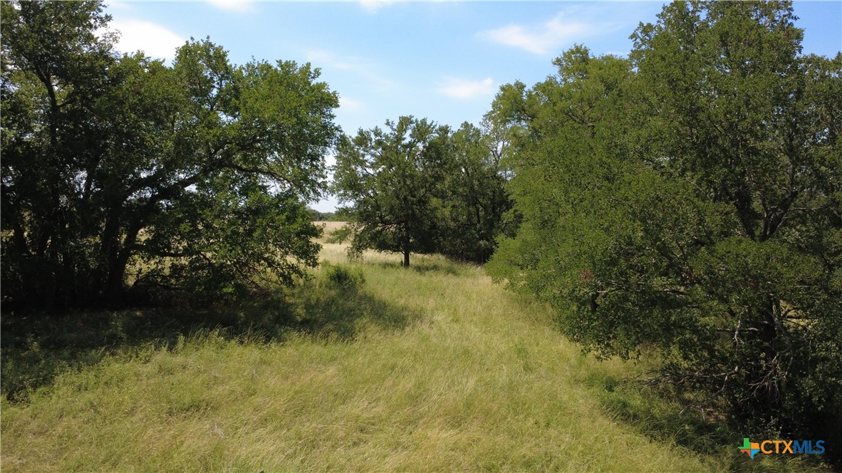 16176 Audrey Lane, Holland, TX, 76534 | 583719 | Realty Texas LLC