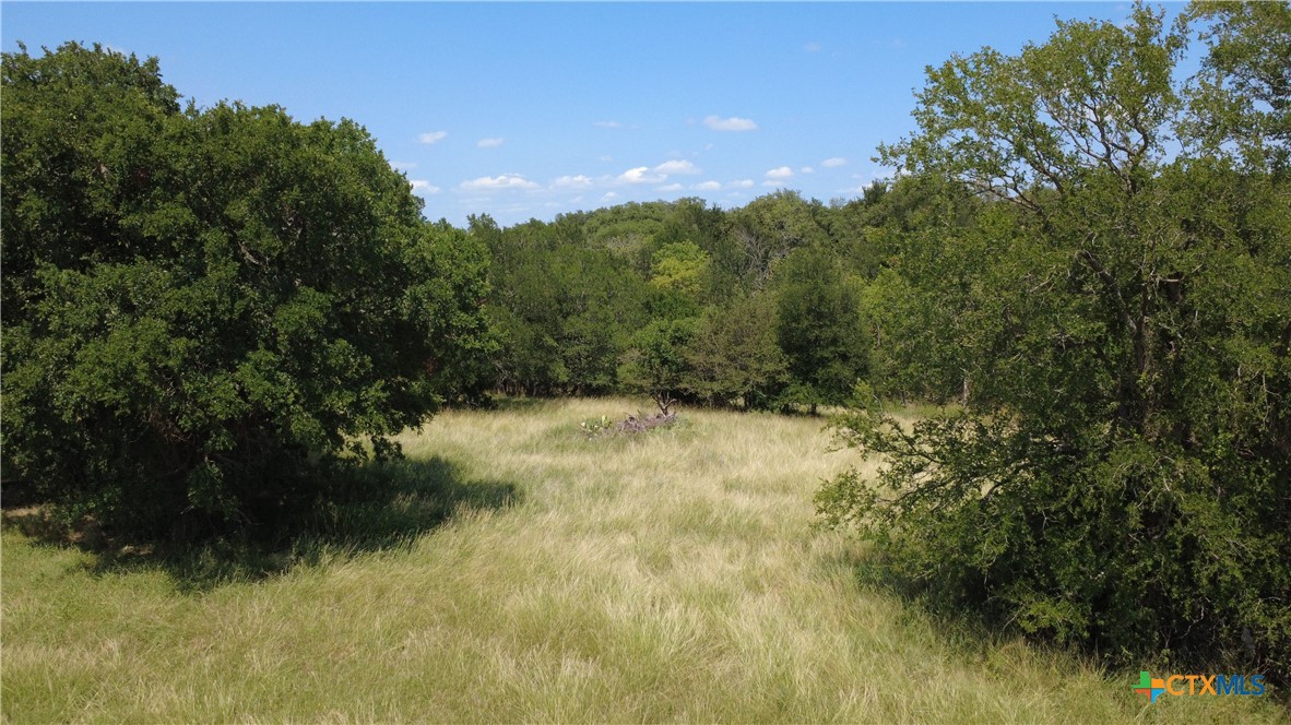 16176 Audrey Lane, Holland, TX, 76534 | 583719 | Realty Texas LLC