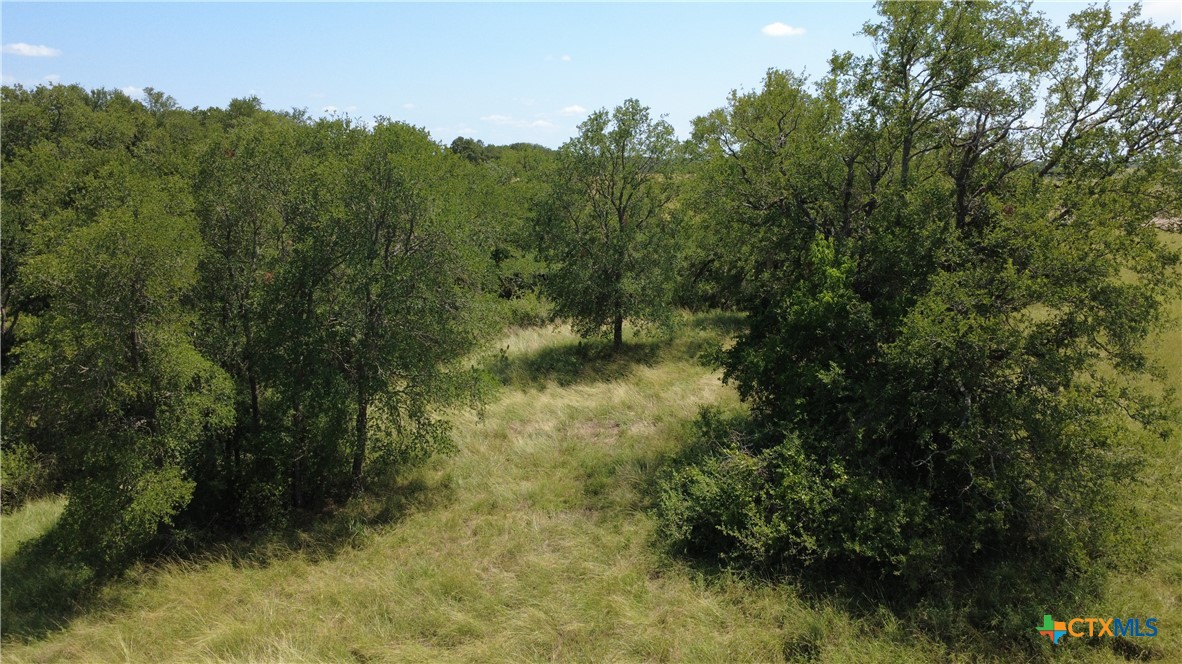 16176 Audrey Lane, Holland, TX, 76534 | 583719 | Realty Texas LLC