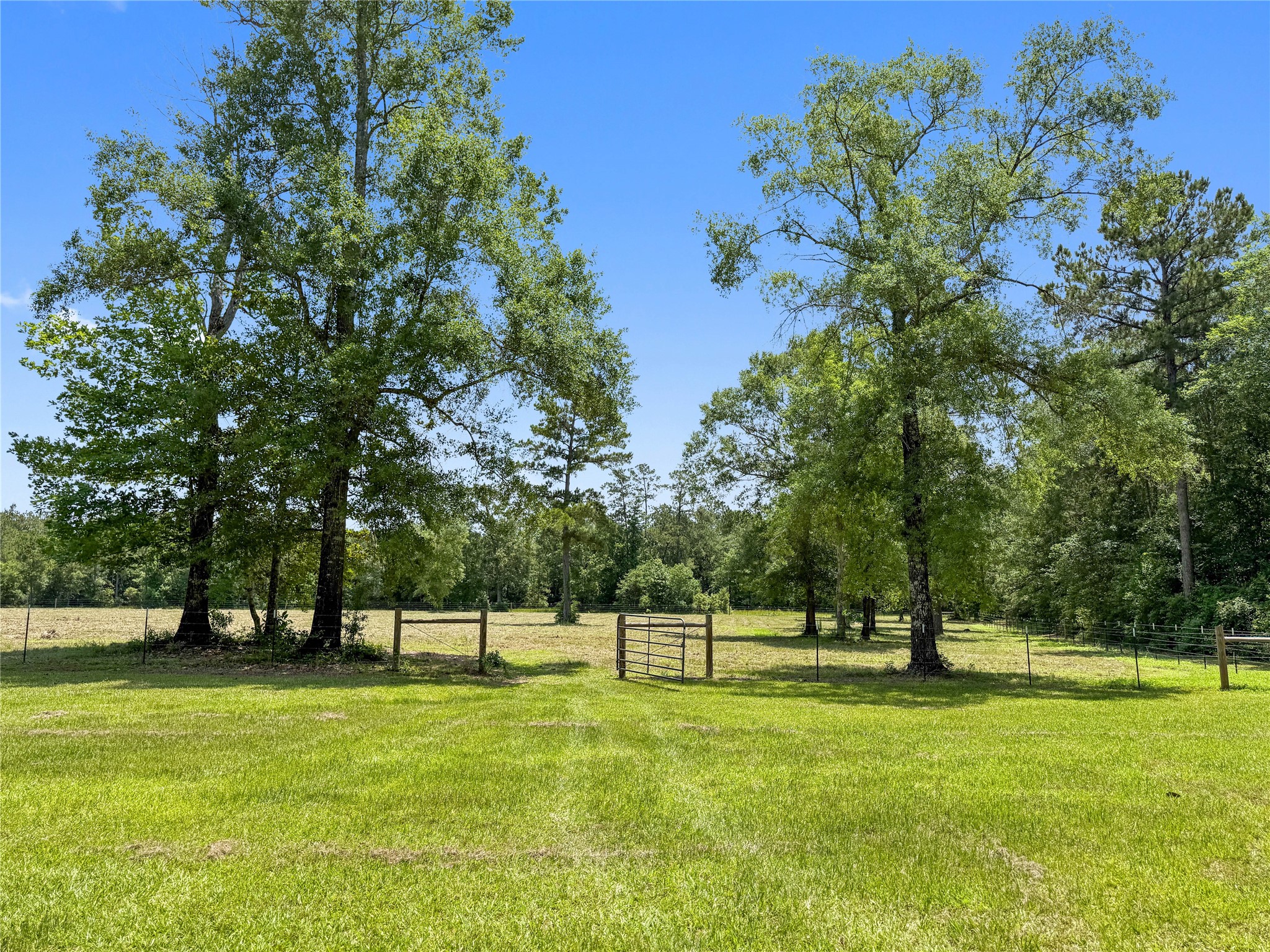6455 Sapp Graveyard Rd, Kountze, TX, 77625 | 50463334 | Realty Texas LLC