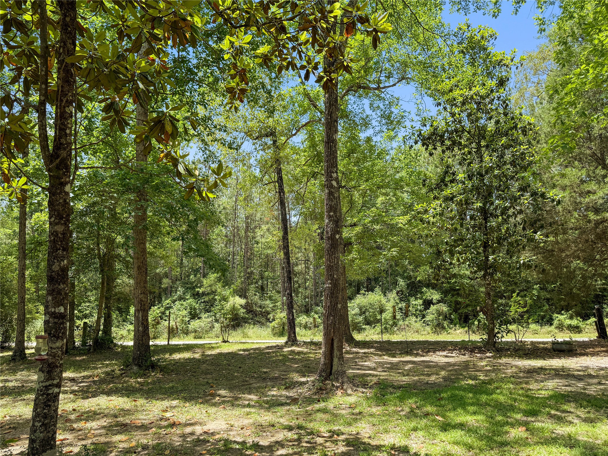 6455 Sapp Graveyard Rd, Kountze, TX, 77625 | 50463334 | Realty Texas LLC