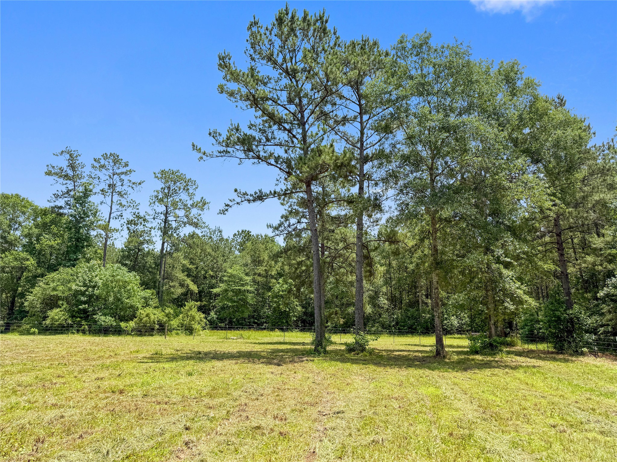 6455 Sapp Graveyard Rd, Kountze, TX, 77625 | 50463334 | Realty Texas LLC