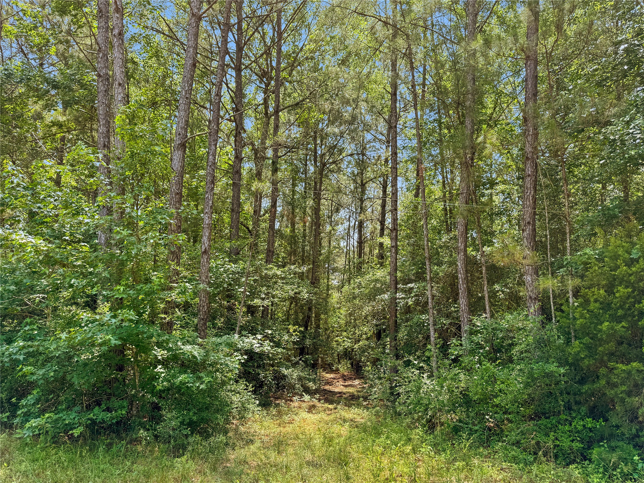 6455 Sapp Graveyard Rd, Kountze, TX, 77625 | 50463334 | Realty Texas LLC