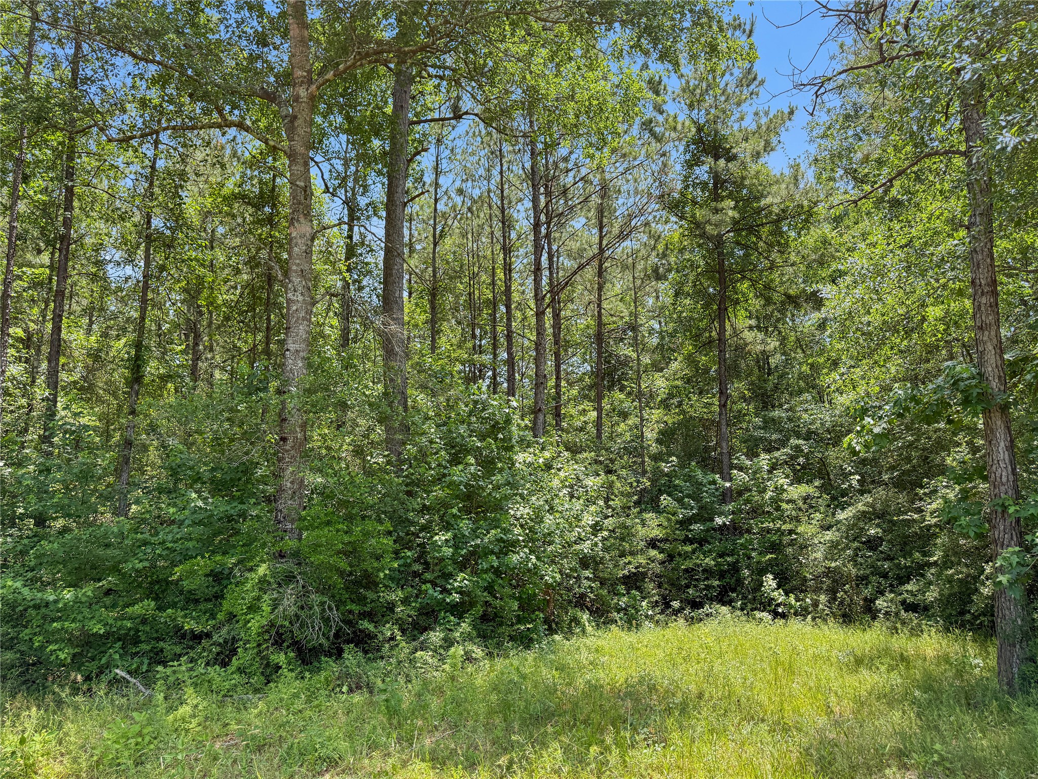 6455 Sapp Graveyard Rd, Kountze, TX, 77625 | 50463334 | Realty Texas LLC
