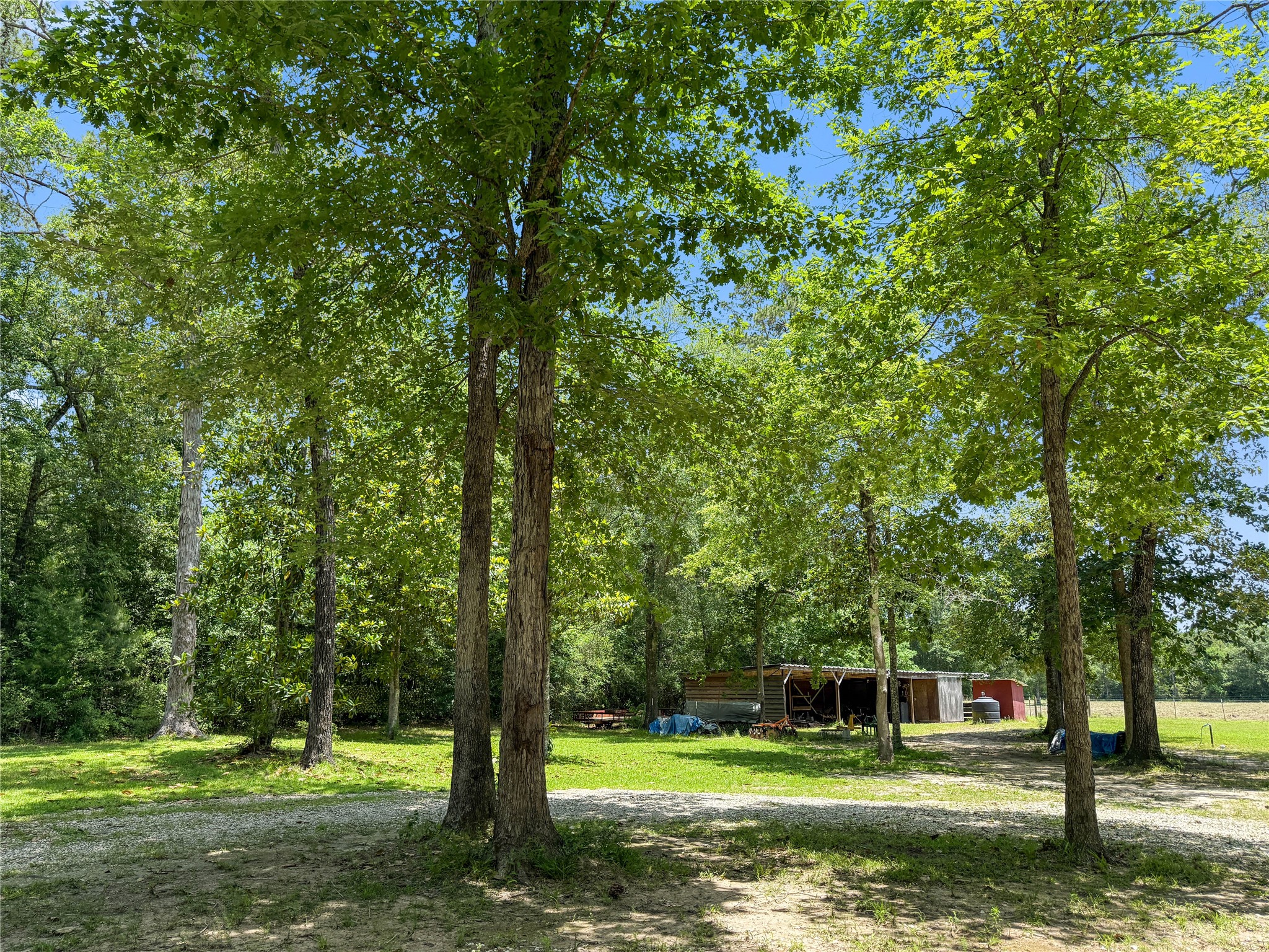 6455 Sapp Graveyard Rd, Kountze, TX, 77625 | 50463334 | Realty Texas LLC
