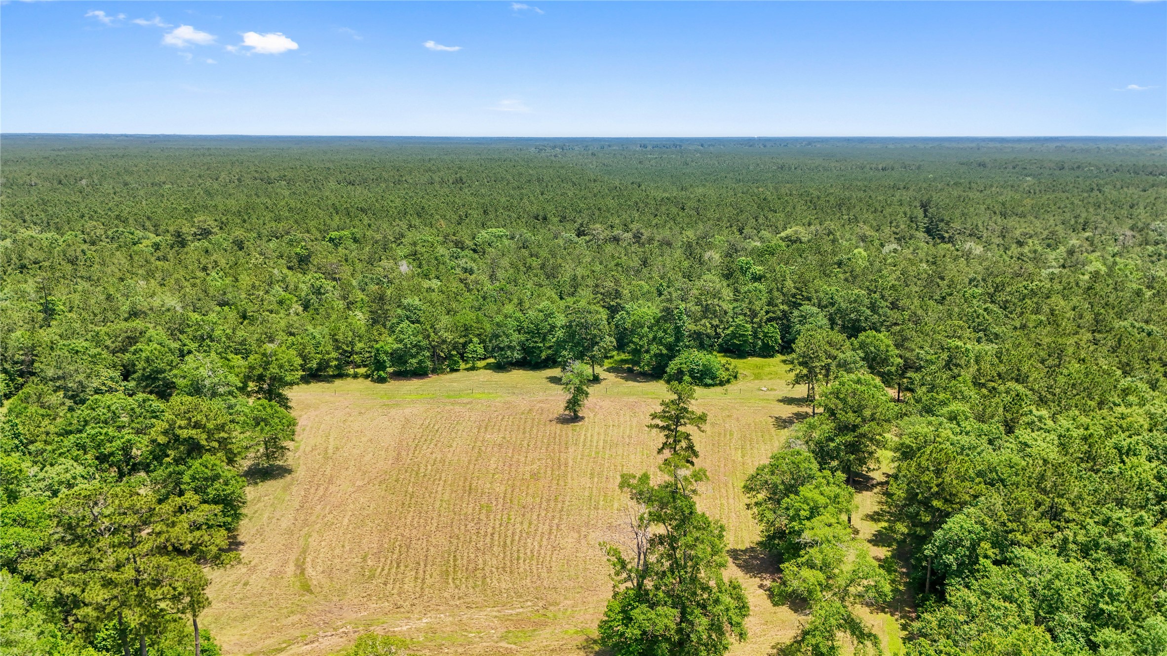 6455 Sapp Graveyard Rd, Kountze, TX, 77625 | 50463334 | Realty Texas LLC