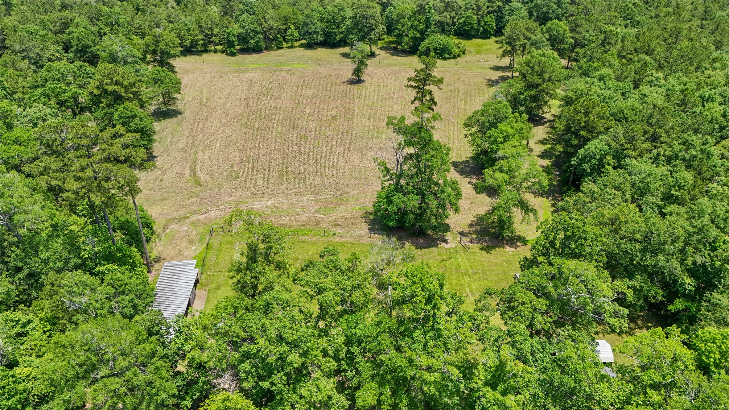 6455 Sapp Graveyard Rd, Kountze, TX, 77625 | 50463334 | Realty Texas LLC