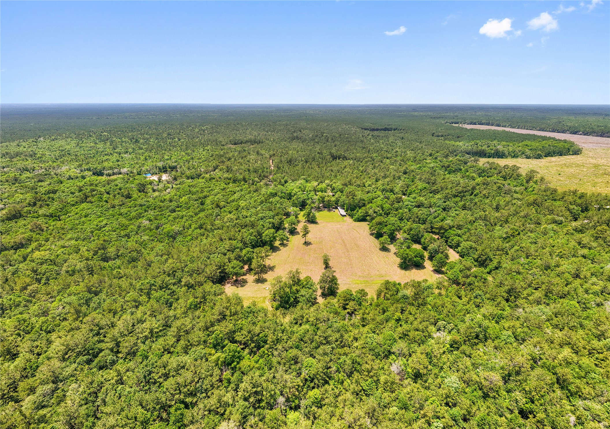 6455 Sapp Graveyard Rd, Kountze, TX, 77625 | 50463334 | Realty Texas LLC