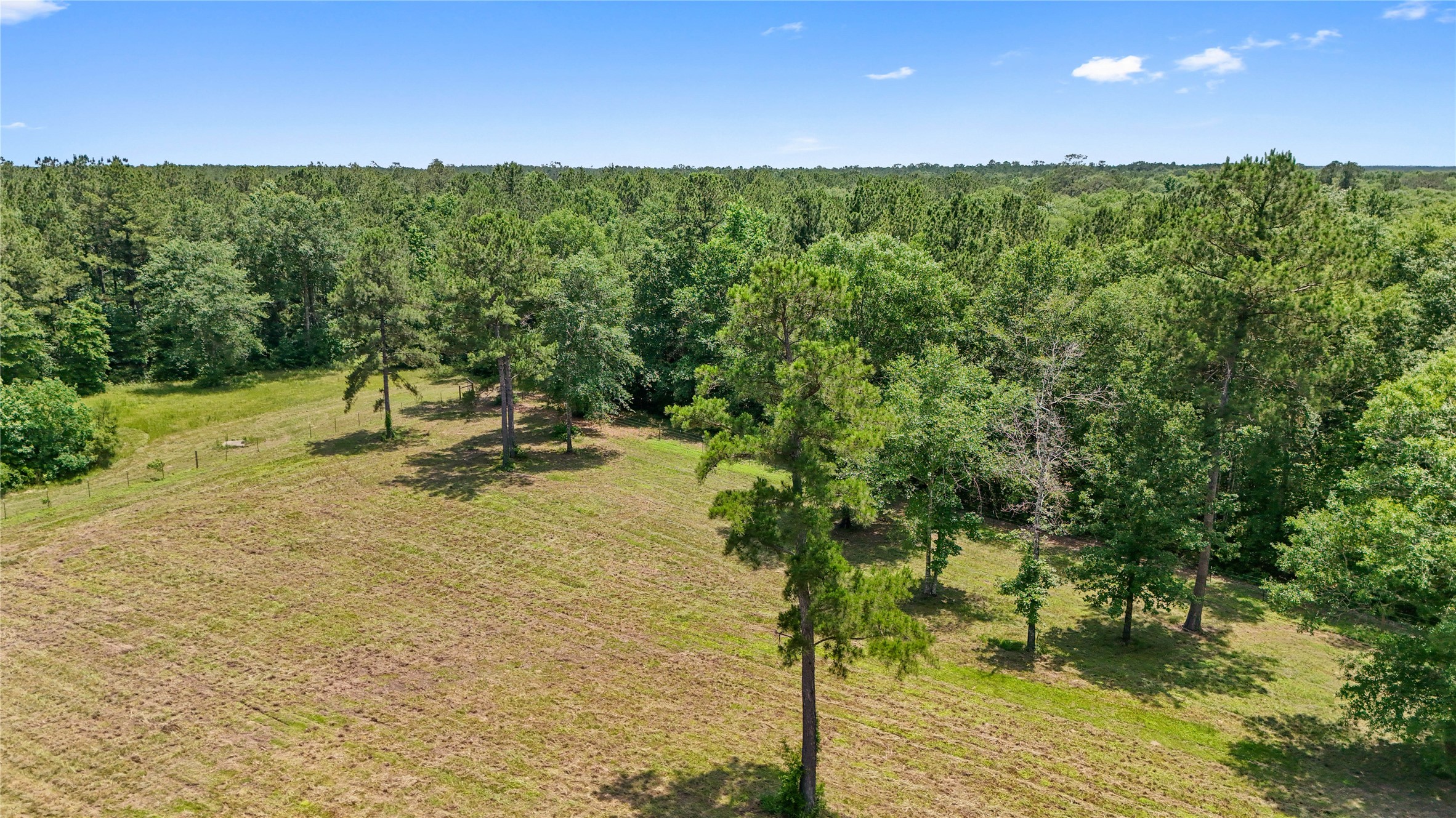 6455 Sapp Graveyard Rd, Kountze, TX, 77625 | 50463334 | Realty Texas LLC