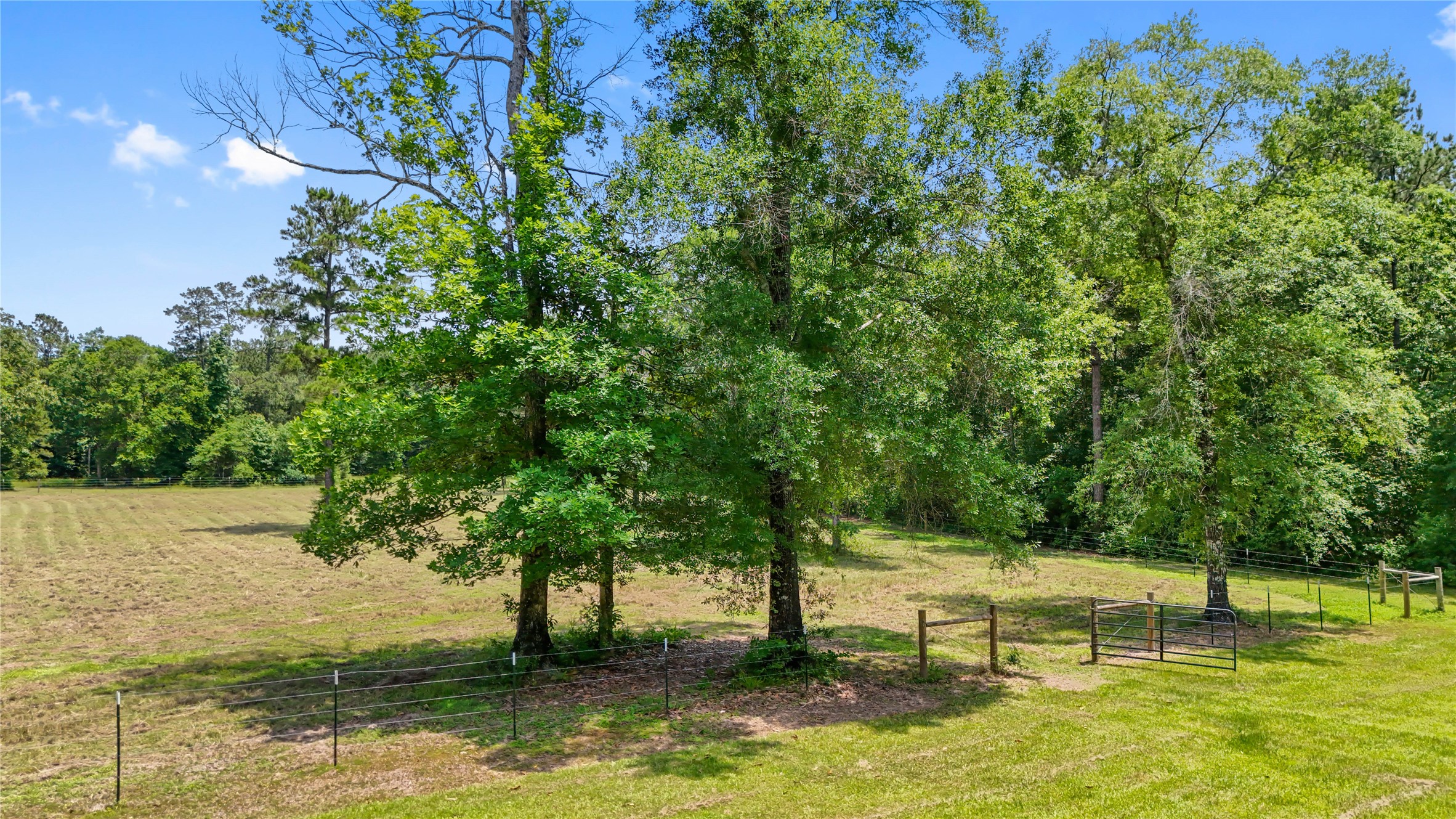 6455 Sapp Graveyard Rd, Kountze, TX, 77625 | 50463334 | Realty Texas LLC