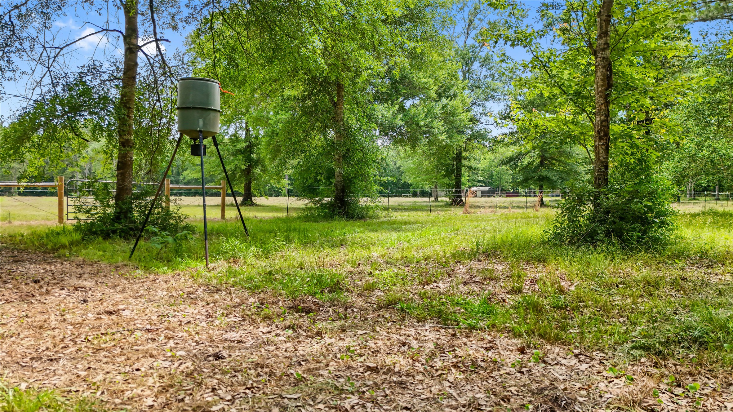 6455 Sapp Graveyard Rd, Kountze, TX, 77625 | 50463334 | Realty Texas LLC