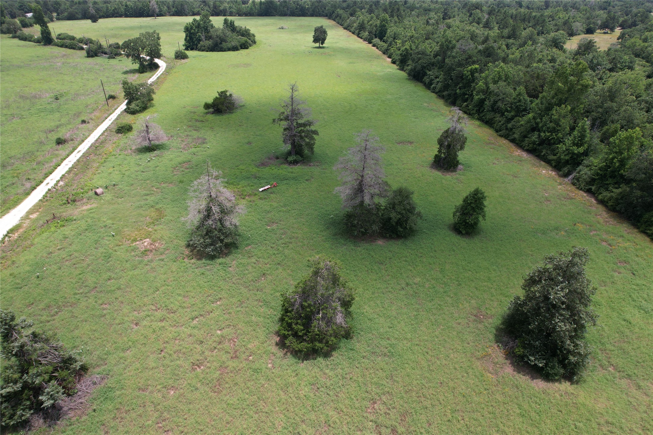 000 Private Road 1310, Centerville, TX, 75833 | 42252314 | Realty Texas LLC
